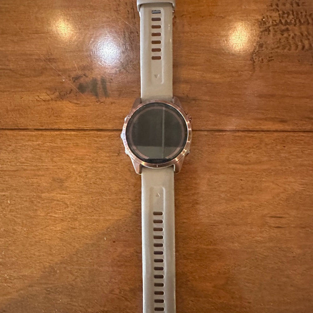 Garmin Smartwatch with Tan Strap